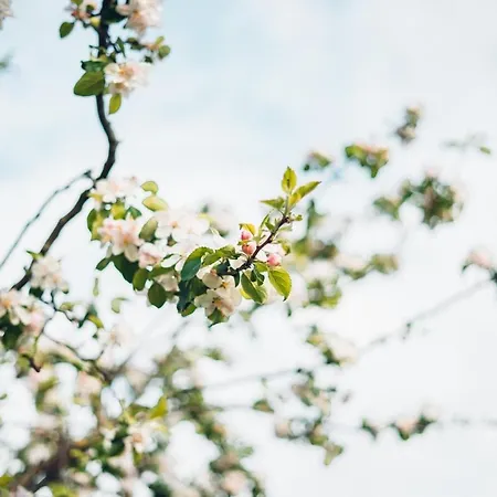 Aquamarin شقة اوبرلنغن