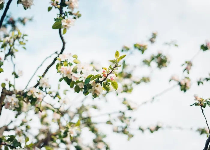 Aquamarin Апартаменты Иберлинген