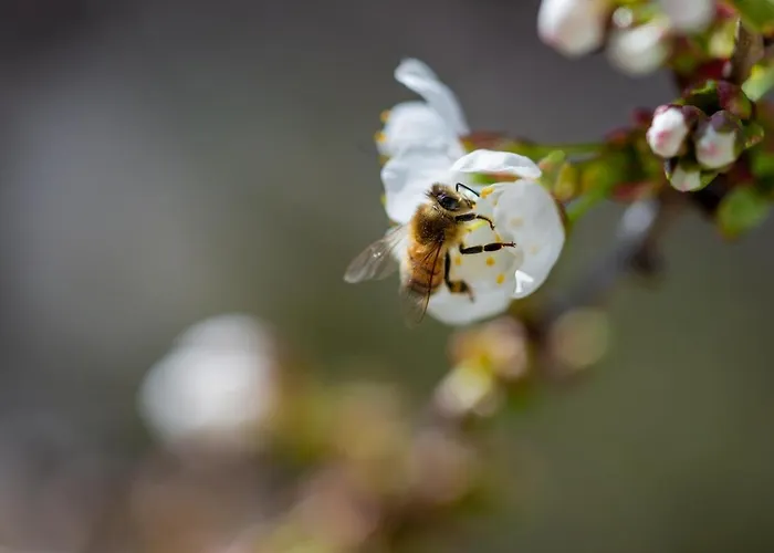 Aquamarin Иберлинген